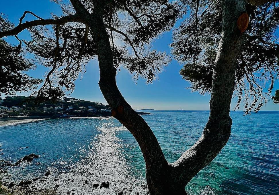 Appartement Escapade Au Coeur De Sanary Extérieur photo