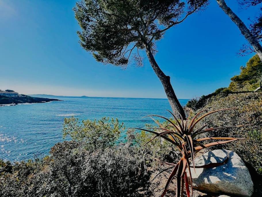Appartement Escapade Au Coeur De Sanary Extérieur photo